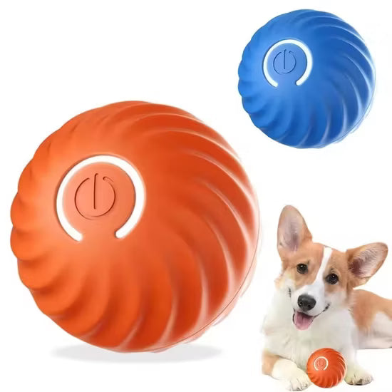 Pet Moving Ball