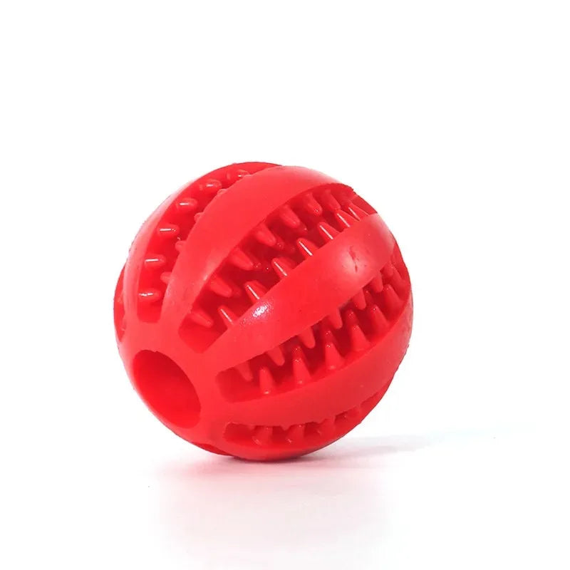 Dog Chewing Ball