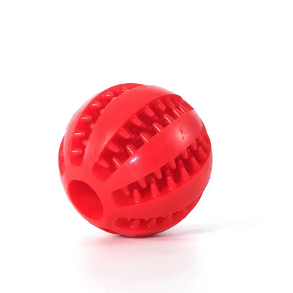 Dog Chewing Ball