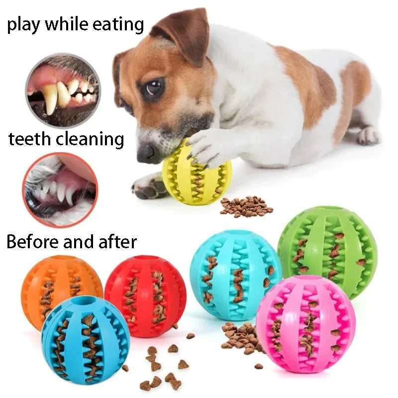 Dog Chewing Ball