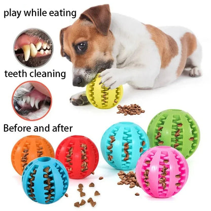 Dog Chewing Ball