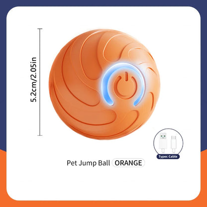 Pet Moving Ball