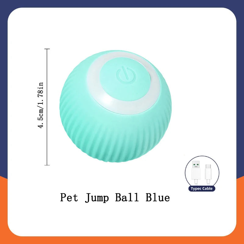Pet Moving Ball