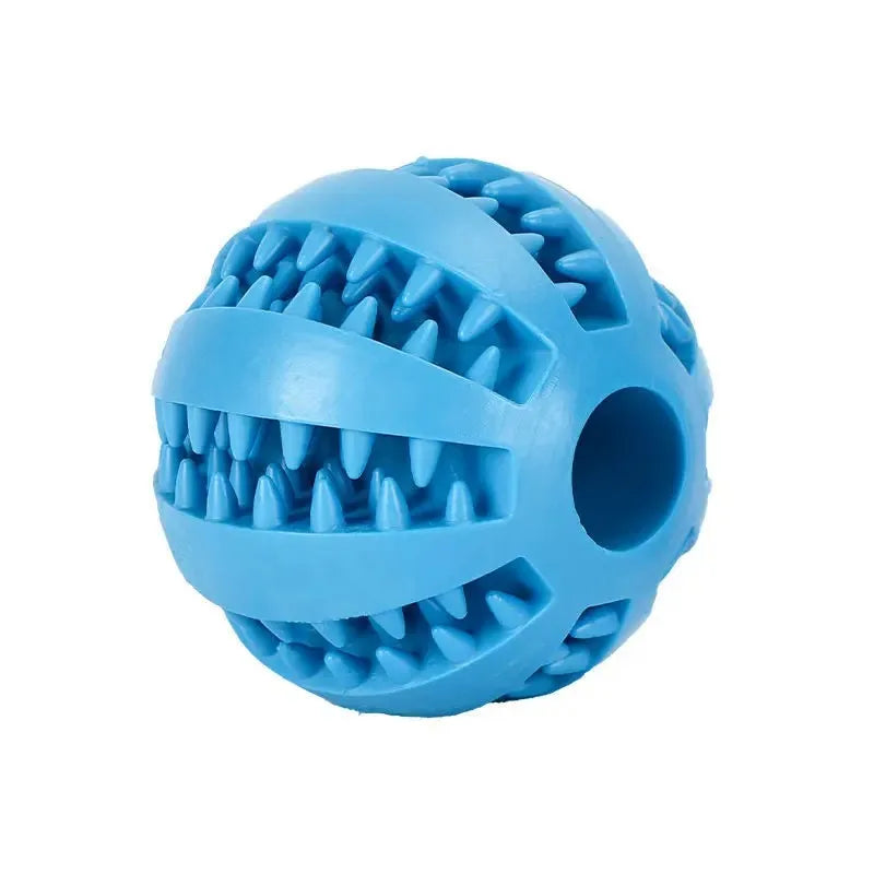 Dog Chewing Ball