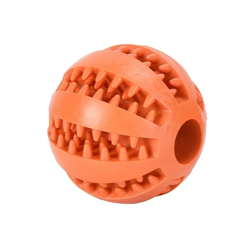 Dog Chewing Ball