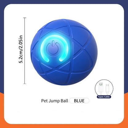 Pet Moving Ball