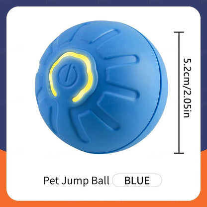 Pet Moving Ball