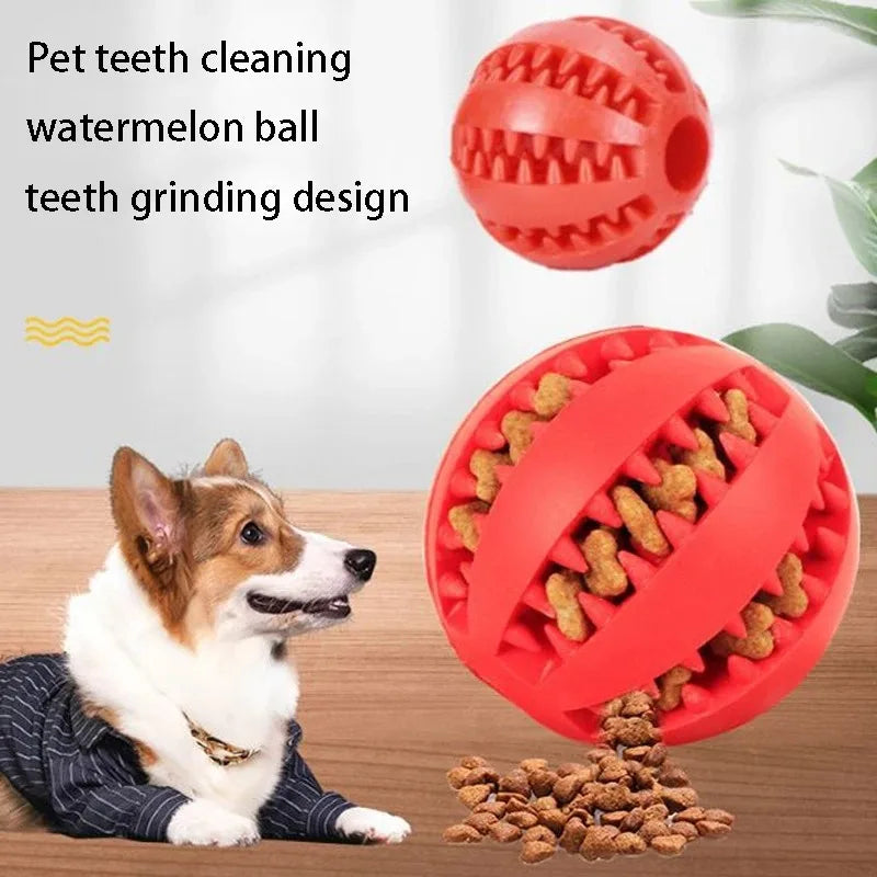 Dog Chewing Ball
