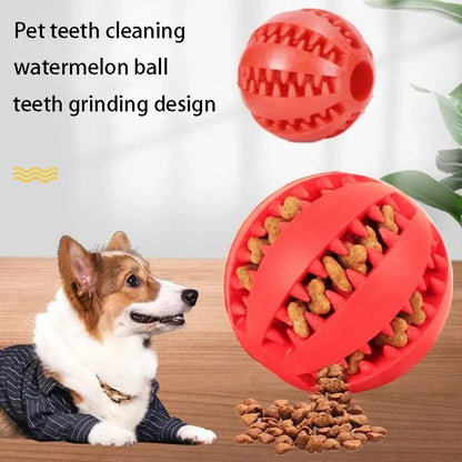 Dog Chewing Ball