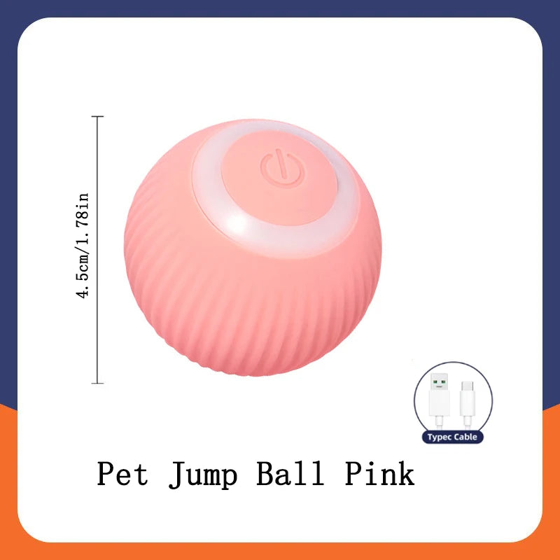 Pet Moving Ball