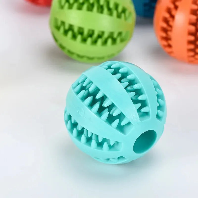 Dog Chewing Ball