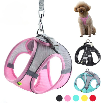 Puppy Harness Set