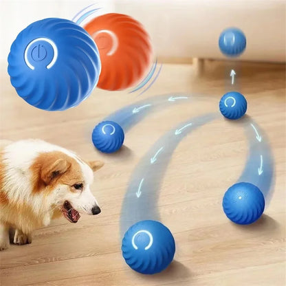 Pet Moving Ball