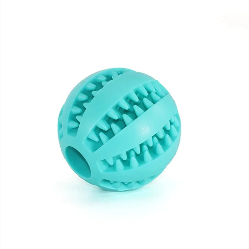 Dog Chewing Ball
