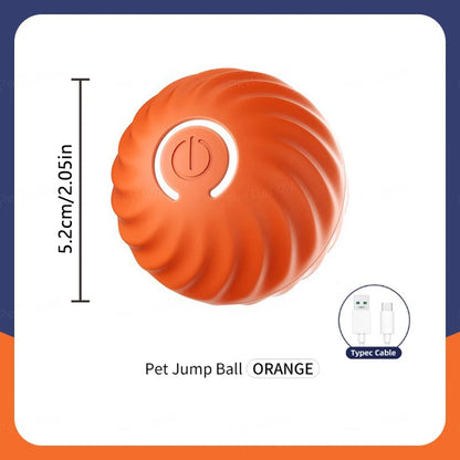 Pet Moving Ball