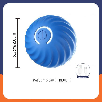 Pet Moving Ball