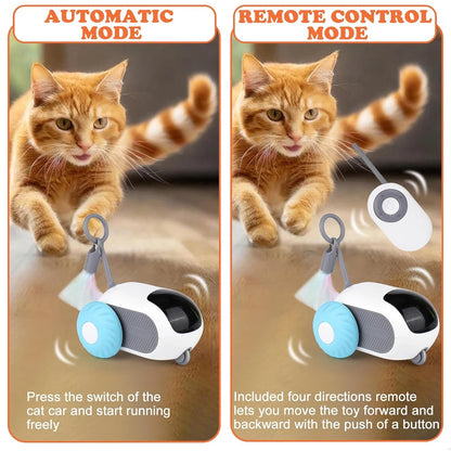 Smart Cat Toy