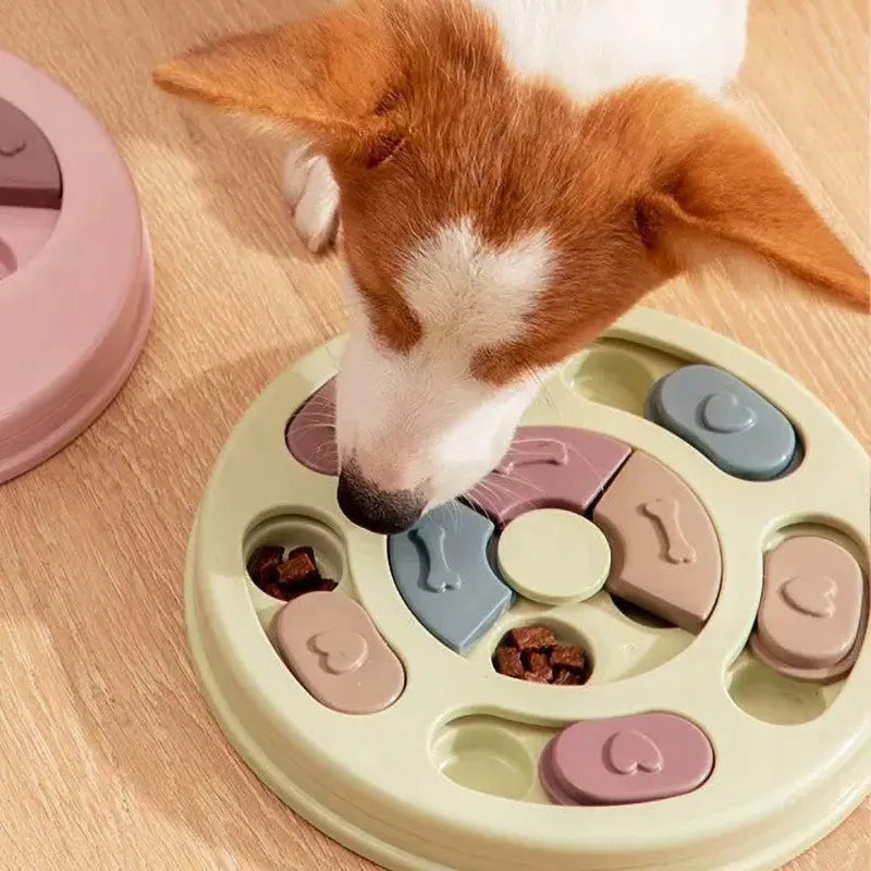 Pet Slow Feeder
