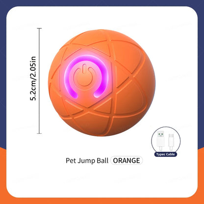 Pet Moving Ball