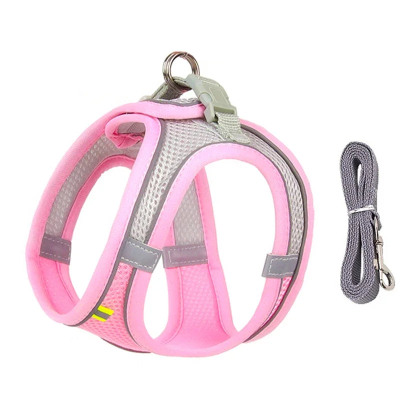 Puppy Harness Set