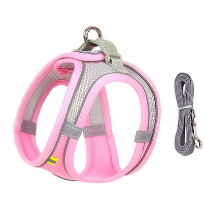 Puppy Harness Set