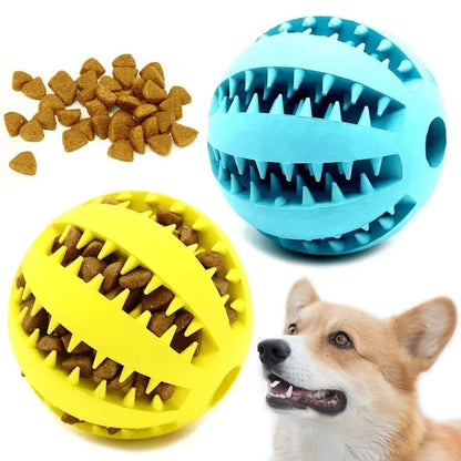 Dog Chewing Ball