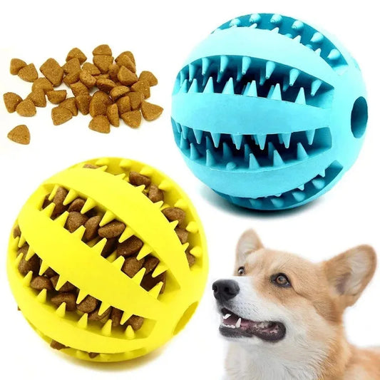 Dog Chewing Ball