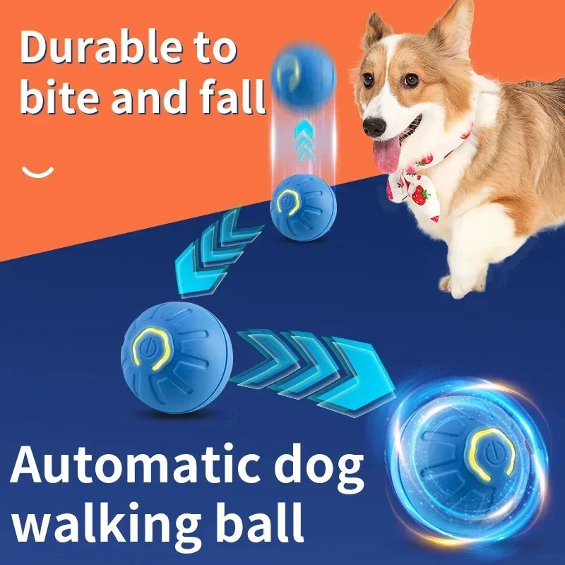 Pet Moving Ball