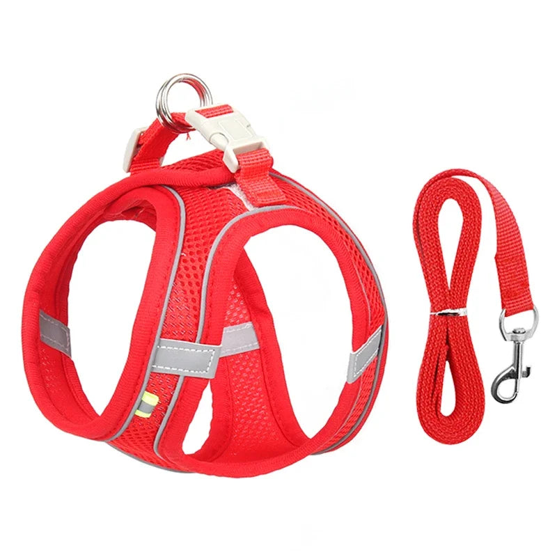 Puppy Harness Set