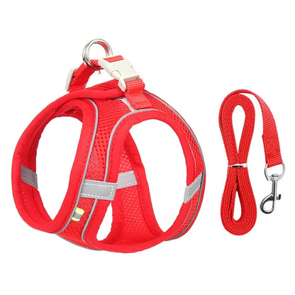 Puppy Harness Set