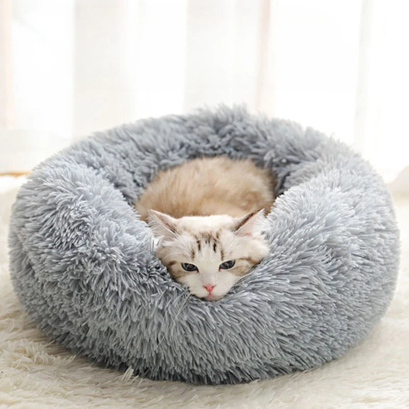 Pet Nest