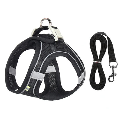 Puppy Harness Set