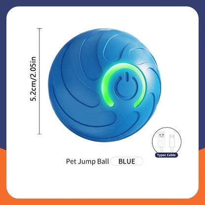 Pet Moving Ball
