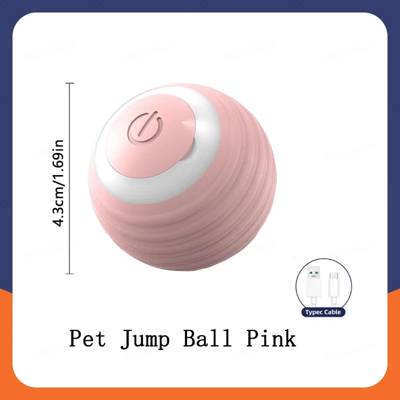 Pet Moving Ball