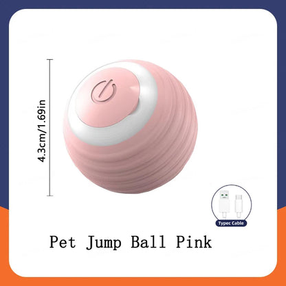 Pet Moving Ball