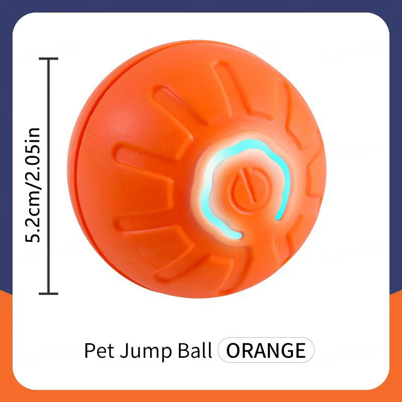 Pet Moving Ball
