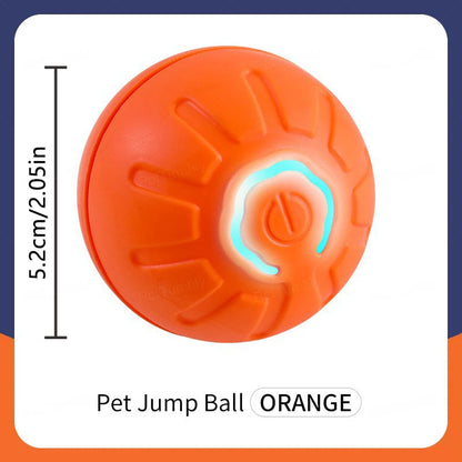 Pet Moving Ball