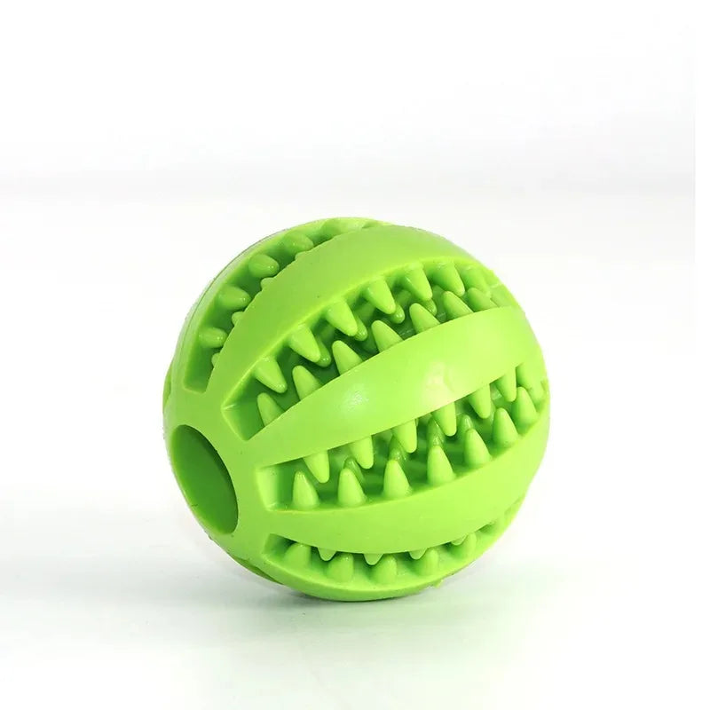 Dog Chewing Ball